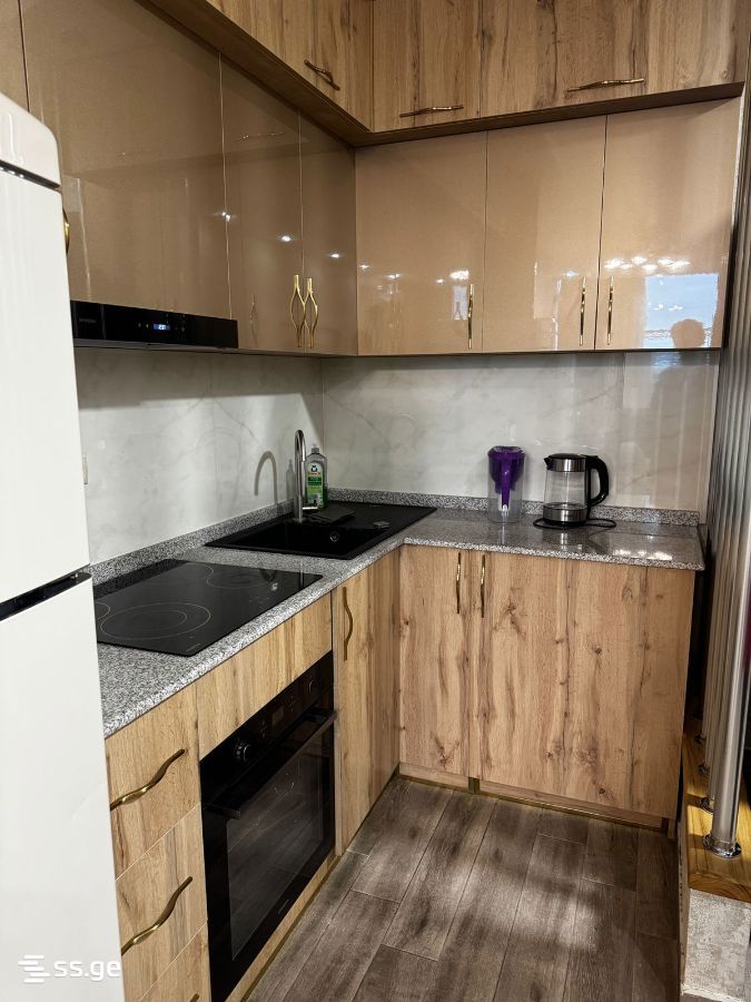 2 Room Apartment For Rent Khimshiashvilis Ubani, In Batumi view 8
