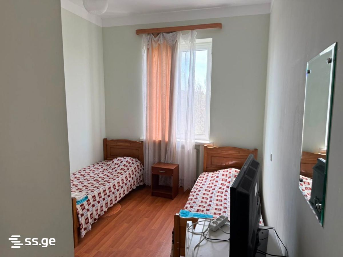 Private House For Sale. Sagarejo view 2