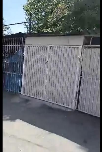 https://static.ss.ge/20260907/12_66593eb1-8811-48a3-934a-d23ec105ed56_Thumb.jpg