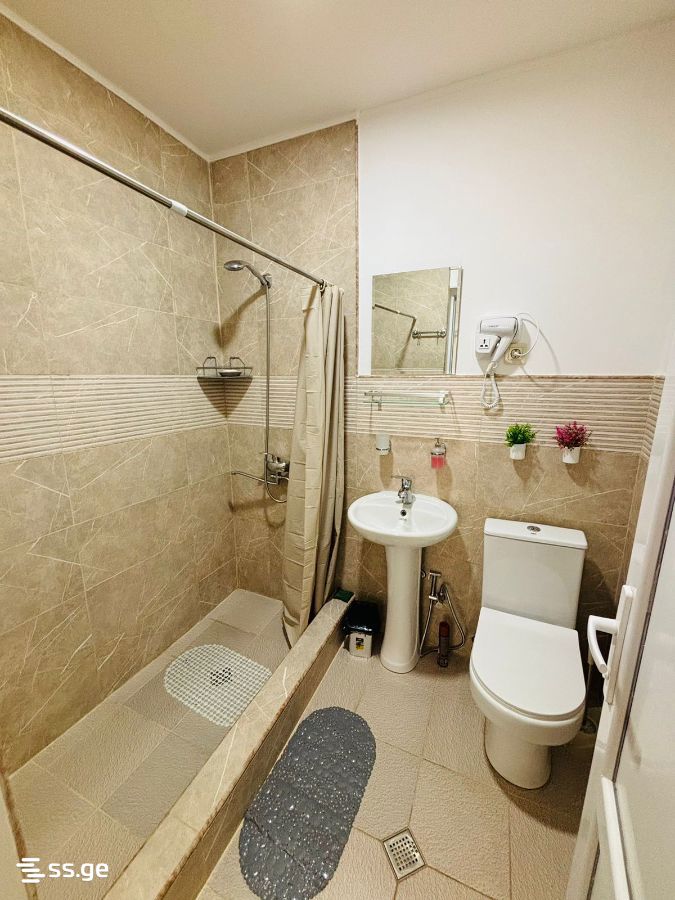 3 Room Summer Cottage For Rent. Borjomi view 6