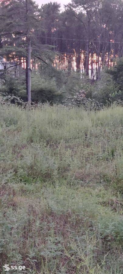 Land For Sale. Shekvetili view 1