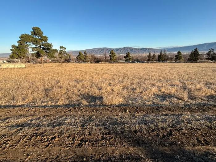 https://static.ss.ge/20260907/17_0e3dc7df-ac02-467a-855c-b4d240311295_Thumb.jpg