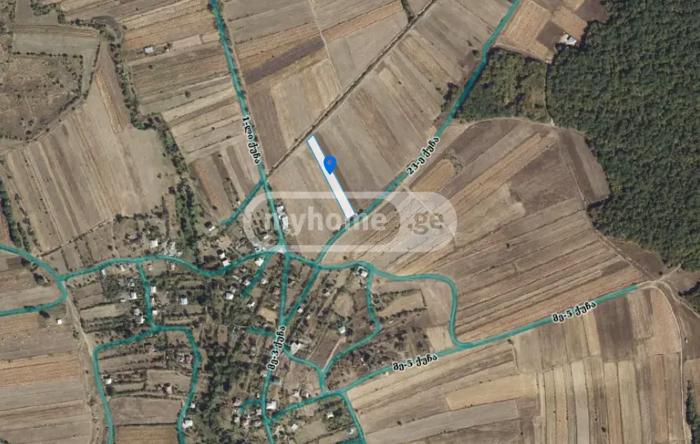https://static.ss.ge/20260907/17_67c079ff-be20-4aa6-b1f2-d7e0ccd57396_Thumb.jpg