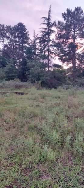 https://static.ss.ge/20260907/17_e2f5fe19-3590-4166-a16c-f7a2ec629ccd_Thumb.jpg
