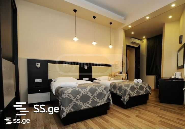 26 Room Hotel For Rent. Chugureti view 10