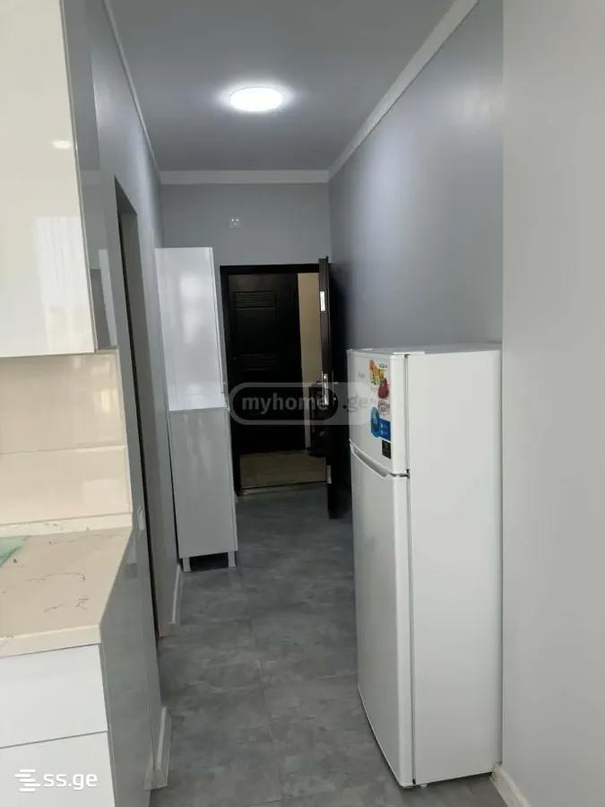 2 Room Apartment For Rent In Batumi view 12