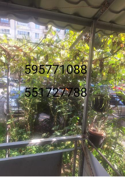 https://static.ss.ge/20260907/18_e3a53641-6518-45b7-b1a5-068bce1df74c_Thumb.jpg