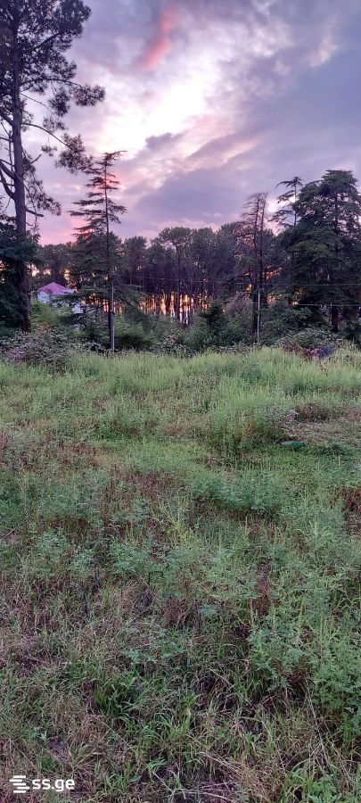 Land For Sale. Shekvetili view 6