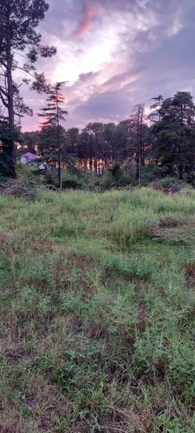 https://static.ss.ge/20260907/19_03a67f69-7058-48e1-847b-1f922f8e6050_Thumb.jpg