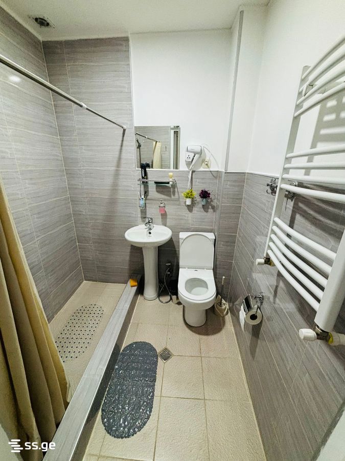 3 Room Summer Cottage For Rent. Borjomi view 9