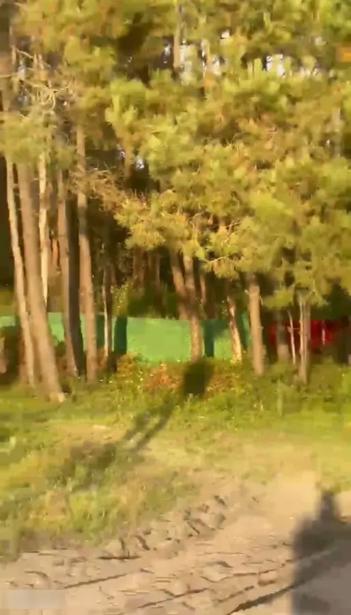 https://static.ss.ge/20260907/1_56eba3d4-65da-4cf6-86de-5be502ed42ae_Thumb.jpg