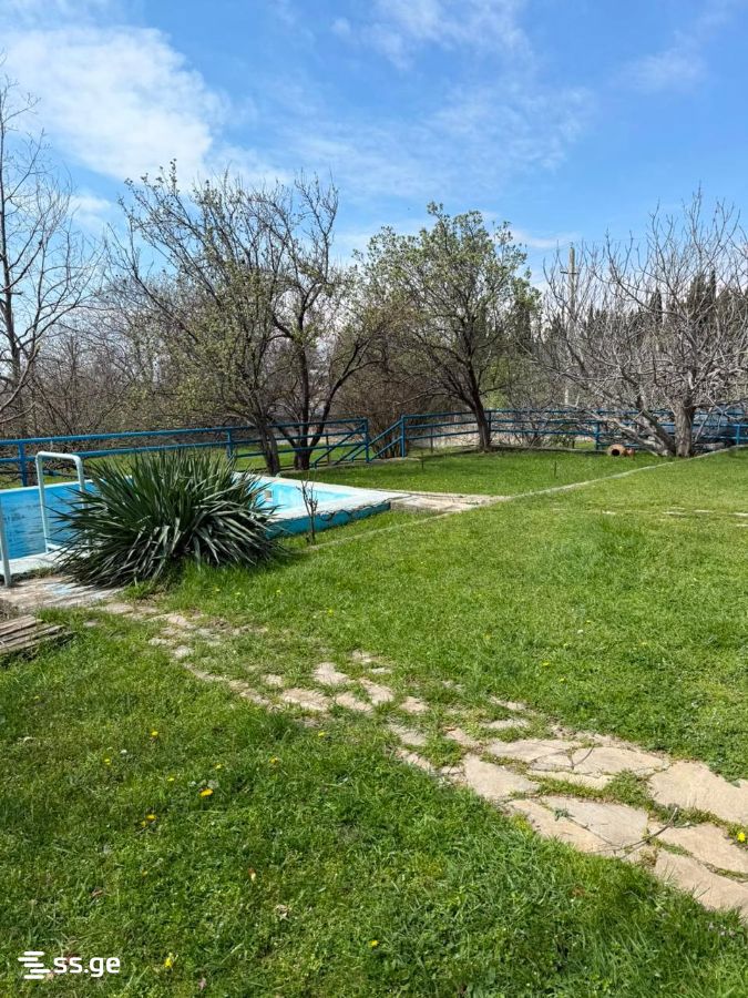 Private House For Sale. Sagarejo view 4