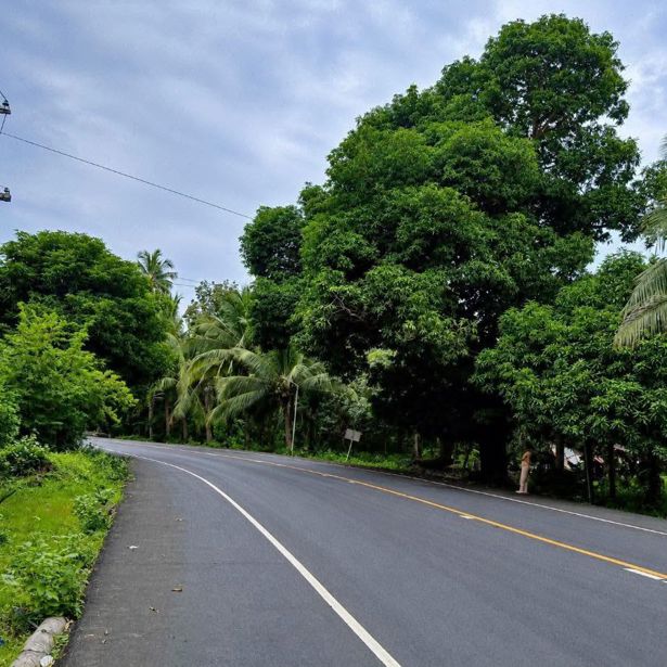 https://static.ss.ge/20260907/4_d7c8cb99-bb1a-4d1f-afdc-4bcff7583f2d_Thumb.jpg