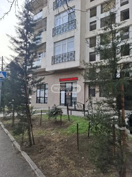 https://static.ss.ge/20260907/6_69903fad-fc47-4a06-80b8-fd2ca02c6e89_Thumb.jpg