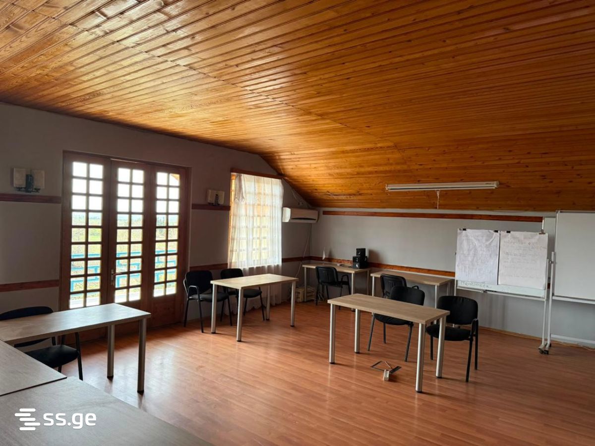 Private House For Sale. Sagarejo view 9