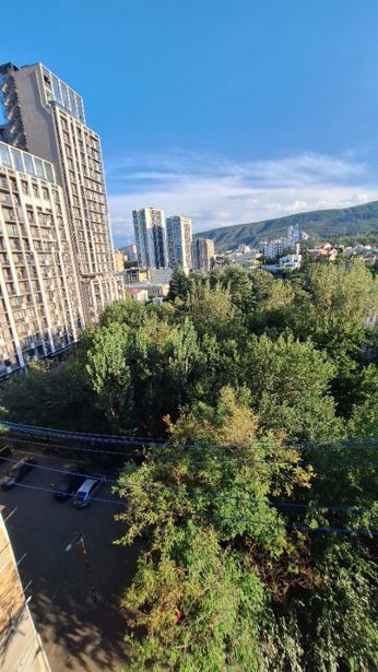 https://static.ss.ge/20260907/7_473365c8-b2a4-4781-84b2-0e7323278f78_Thumb.jpg