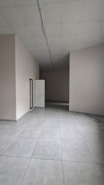https://static.ss.ge/20260907/8_9dc77d74-f326-491b-9633-c1520a871c51_Thumb.jpg