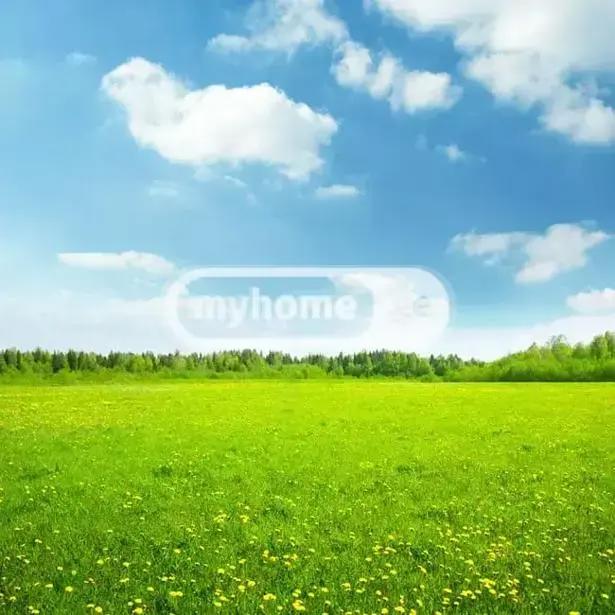 https://static.ss.ge/20260908/0_b1747a69-3a98-4265-a29b-e54cd337def1_Thumb.jpg