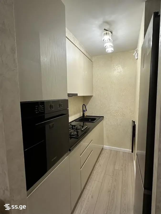2 Room Apartment For Rent In Kazbegi view 18