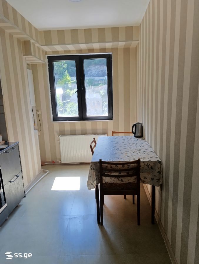 2 Room Flat For Rent. Borjomi view 5
