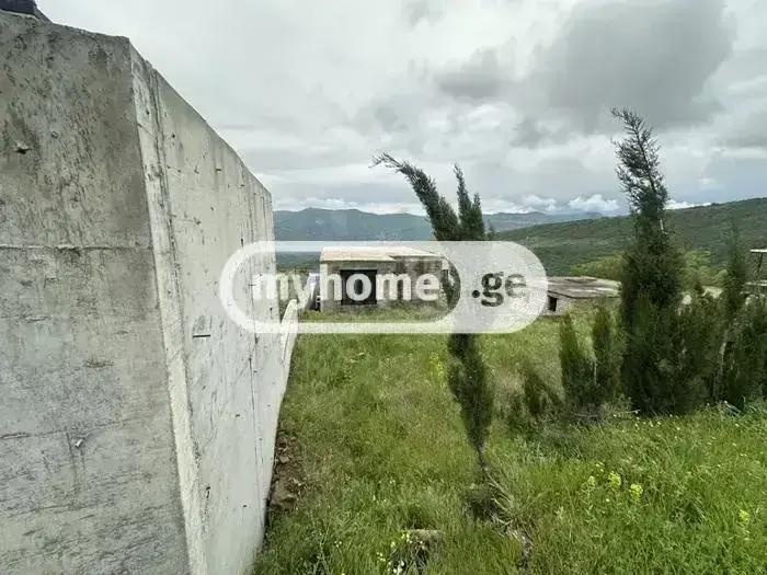 https://static.ss.ge/20260908/13_2161cbb9-7b91-4950-8212-0009daa3a06a_Thumb.jpg