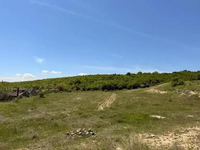 https://static.ss.ge/20260908/15_56a62bbf-7e1d-418c-be7a-523b6935f1a8_Thumb.jpg