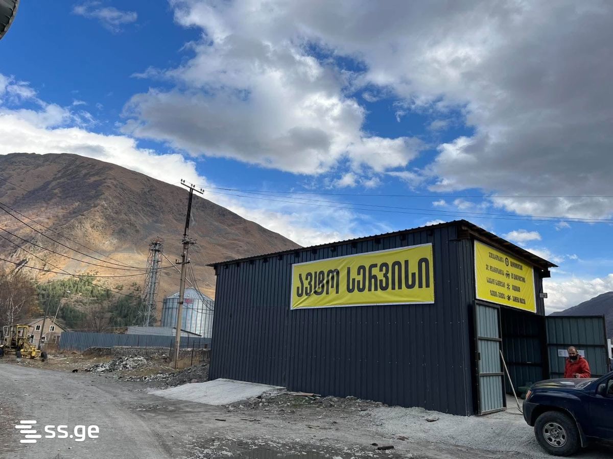 Store-Industrial Property For Rent. Kazbegi view 4
