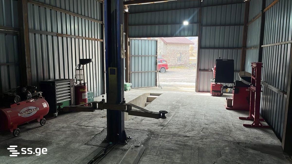 Store-Industrial Property For Rent. Kazbegi view 2