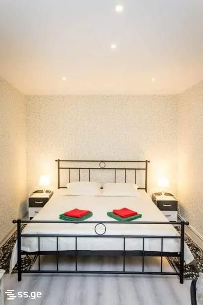 3 Room Private House For Rent. Chugureti view 4