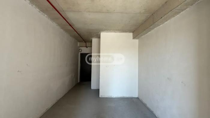 https://static.ss.ge/20260908/17_db5c95be-be50-4414-8f7e-254dcd51d201_Thumb.jpg