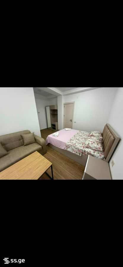 6 Room Summer Cottage Daily Rent. Grigoleti view 6