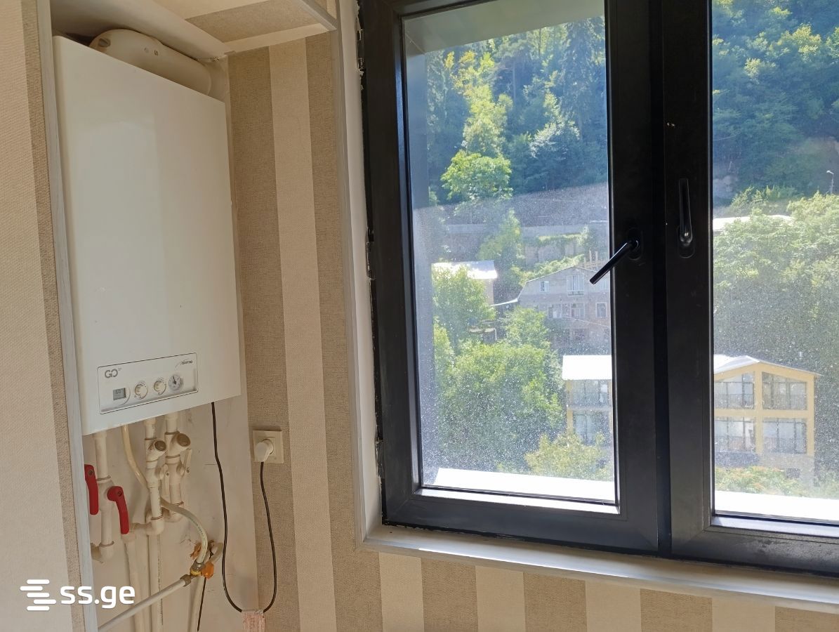 2 Room Flat For Rent. Borjomi view 6