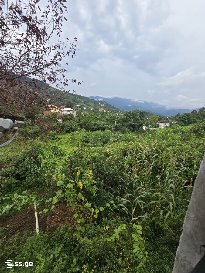 8 Room Private House For Sale view 10
