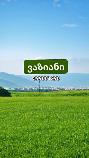 https://static.ss.ge/20260908/18_c65b64b2-4923-4294-b27a-228edccdc3c8_Thumb.jpg
