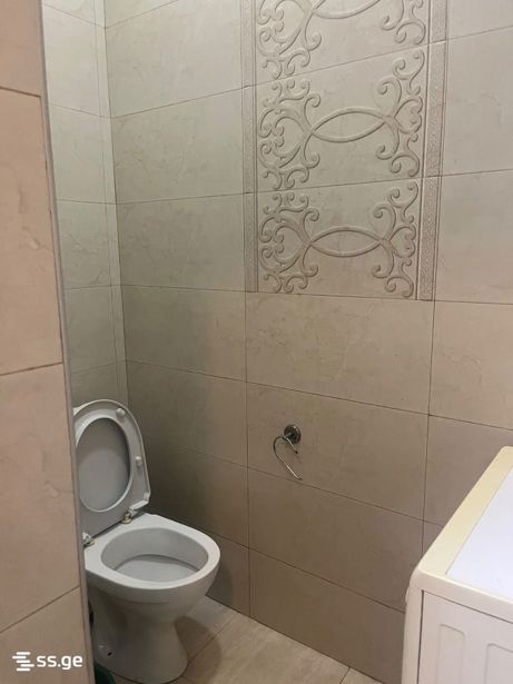 https://static.ss.ge/20260908/19_78a19478-1f66-4c4b-919c-acf24c37e3ff_Thumb.jpg