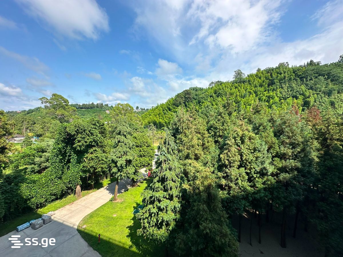 2 Room Flat For Sale view 9