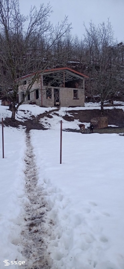Private House For Sale. Ambrolauri view 2