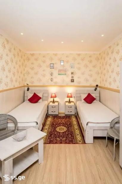 3 Room Private House For Rent. Chugureti view 1
