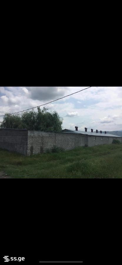 Store-Industrial Property For Sale. Mukhrani view 1