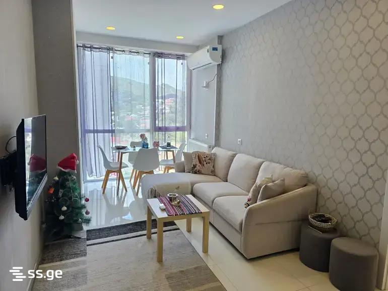 2 Room Apartment For Rent In Kazbegi view 10