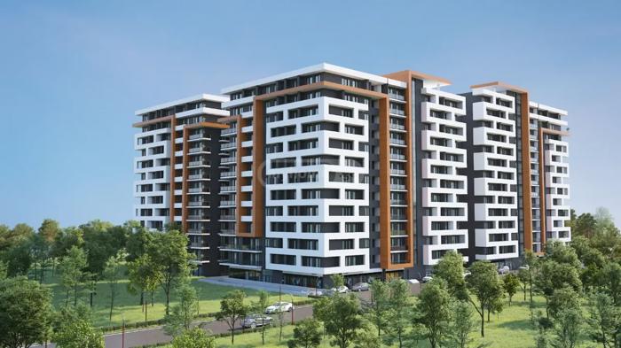 https://static.ss.ge/20260909/14_467d3e07-1eac-4902-856a-a0278c07cbc5_Thumb.jpg