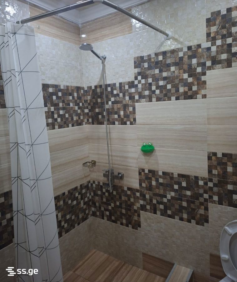 2-Room Apartment For Rent In Batumi, Demetre Tavdadebuli St, 50 view 11