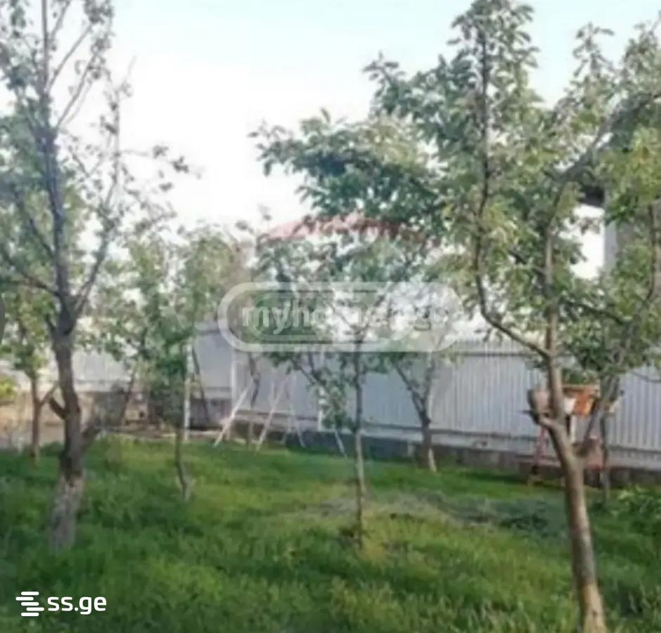 7 Room Summer Cottage For Rent. Lisi Lake view 10