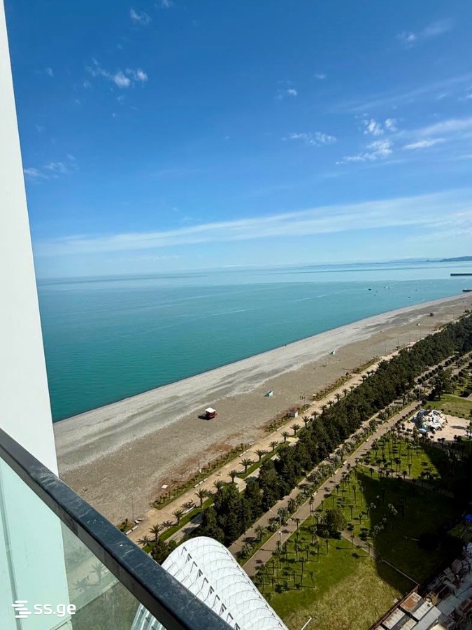 2-Room Apartment For Rent In Batumi, Alliance Privilege view 22
