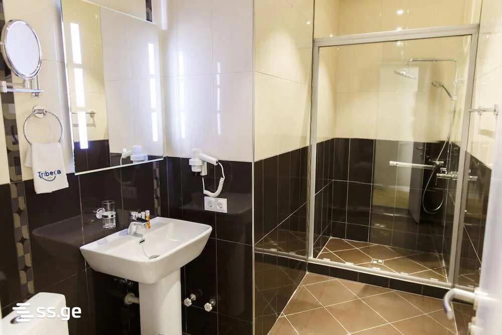 Hotel For Sale. Chugureti view 3