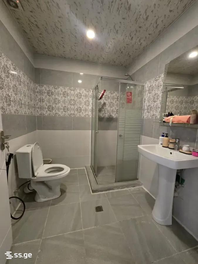 2 Room Apartment For Rent In Kazbegi view 18