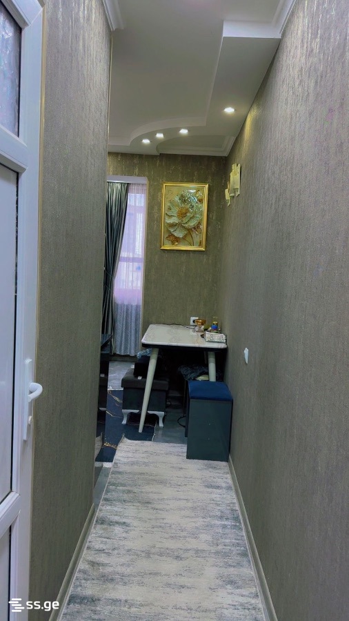 2 Room Flat For Rent. Rustavi view 9