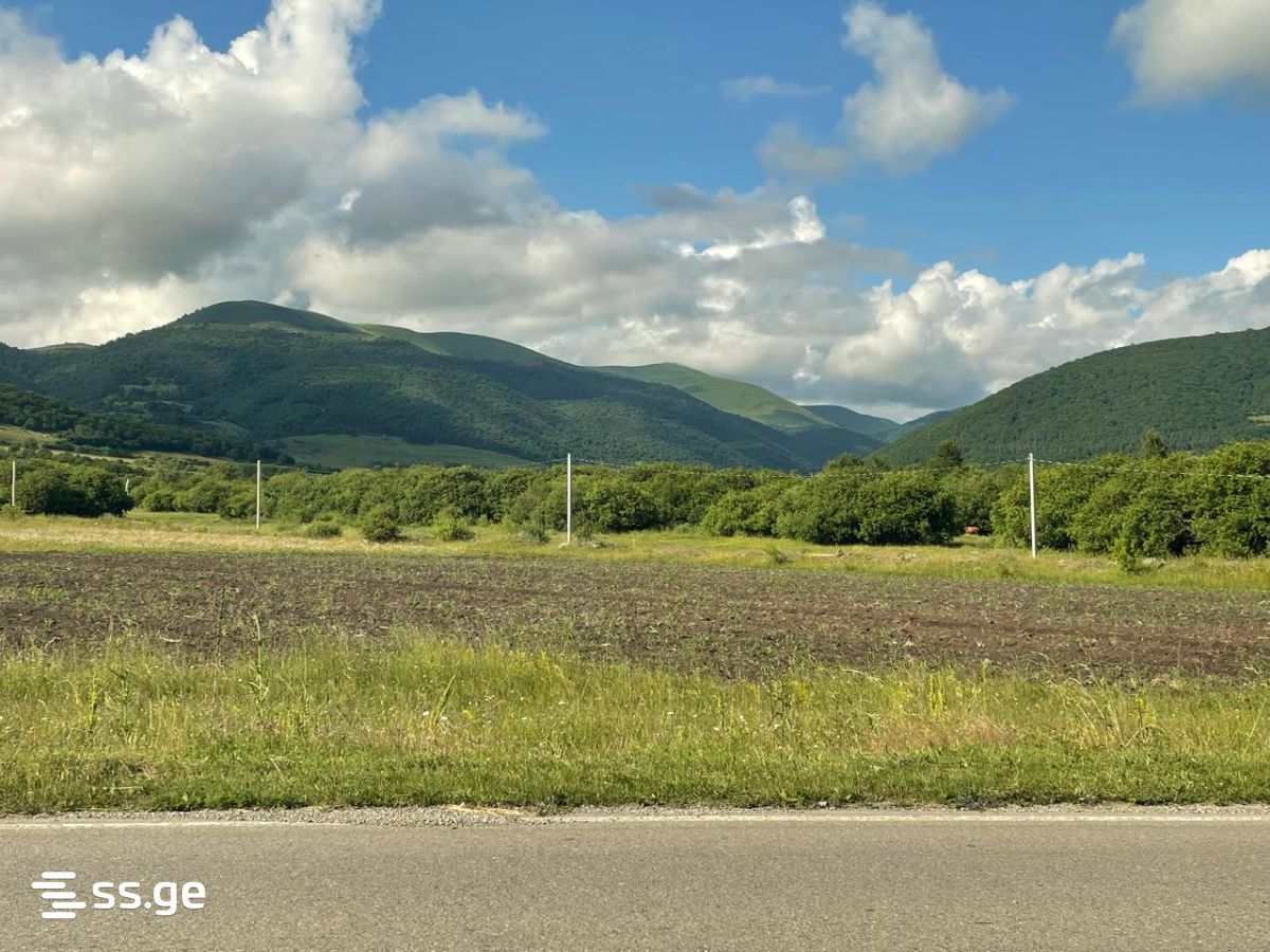 Land For Sale. Tianeti view 3