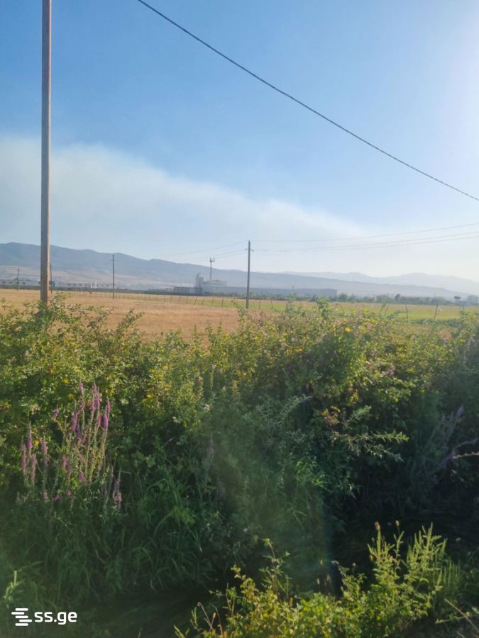 იყიდება მიწა ნატახტარიში view 2