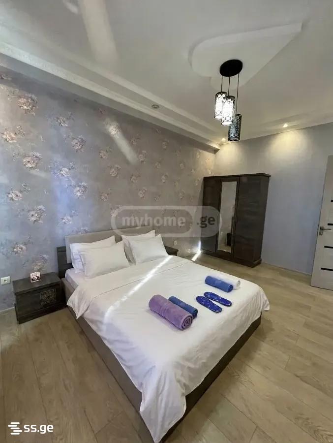 2 Room Flat Daily Rent. Didube view 2